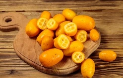 news-248-159 news-248-159