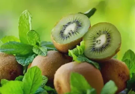 Freeze Dried Kiwi fruit Powder Freeze Dried Kiwi fruit Powder